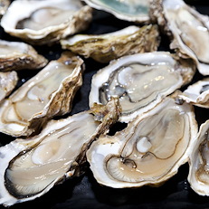 Sea Harvest Fish Market